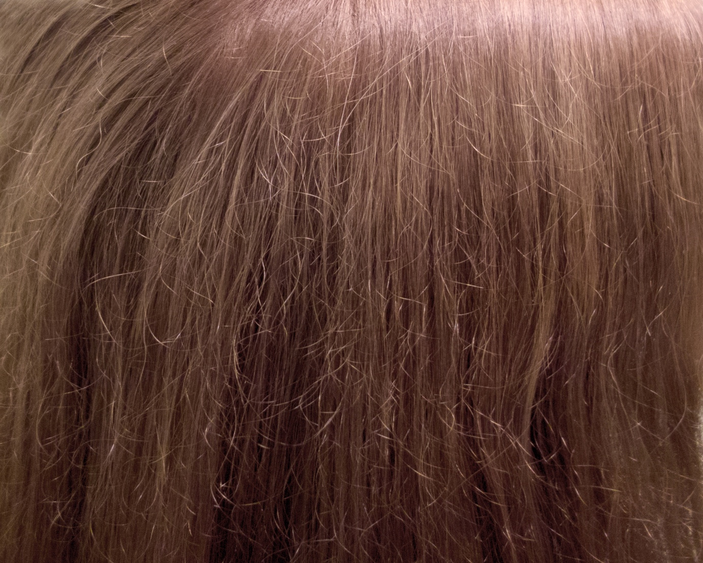 Why is My Hair Breaking?  Understanding the Causes and Solutions